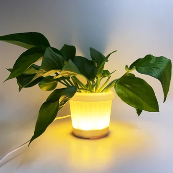 Led лека нощ, Креативна лампа в саксия с месест зелено растение, декоративна малка настолна лампа за дневна, украса за интериора